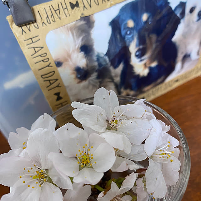 ohanaさんの実例写真