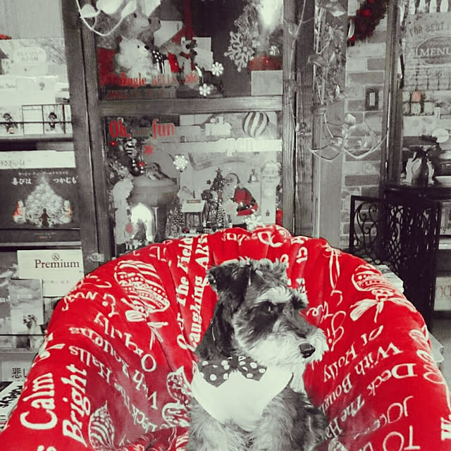asaさんの実例写真