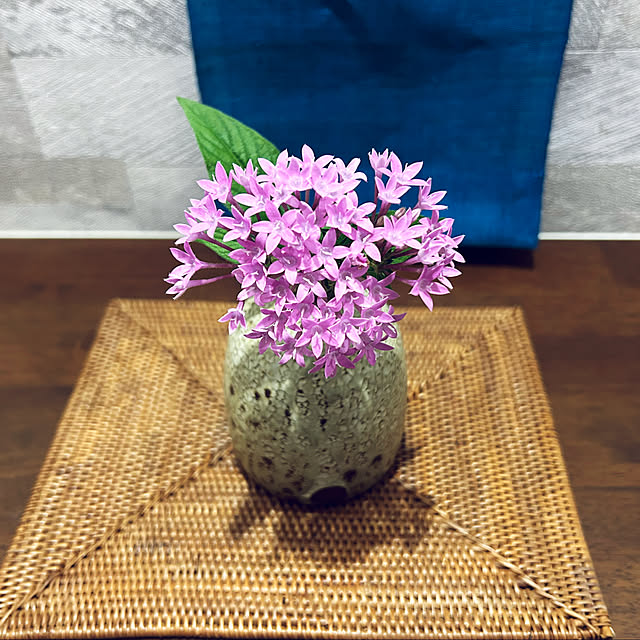 banbinaさんの部屋