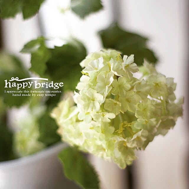 happy_bridgeさんの実例写真