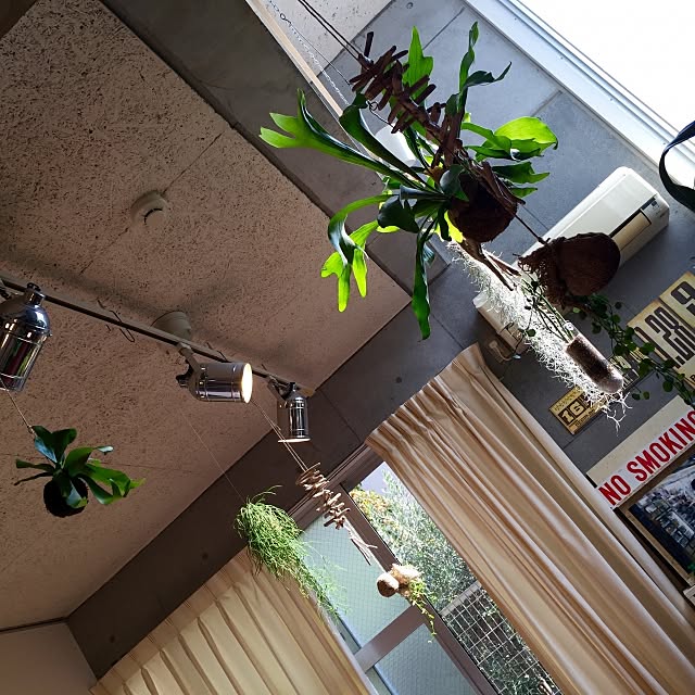 Hiroshiさんの実例写真