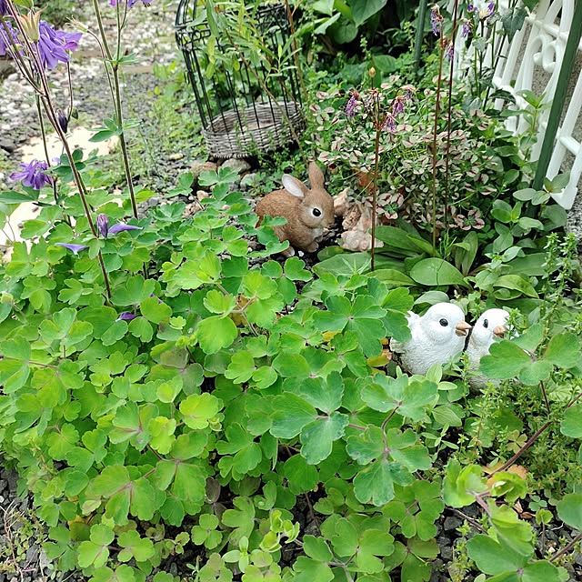 kiraさんの部屋