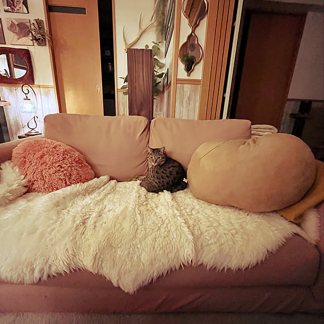 Mさんの実例写真