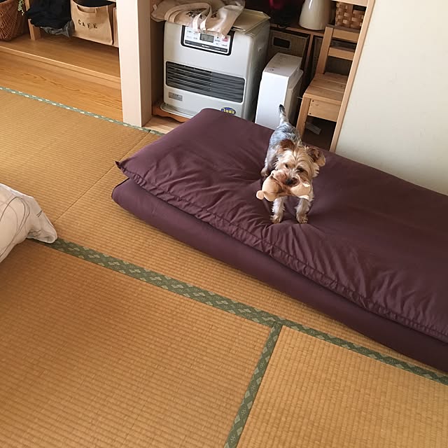 mayuoさんの実例写真