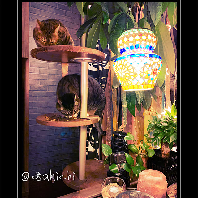 SAKICHIさんの実例写真