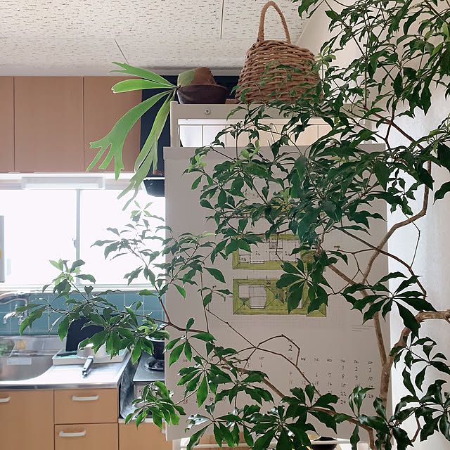 nao.roomさんの実例写真