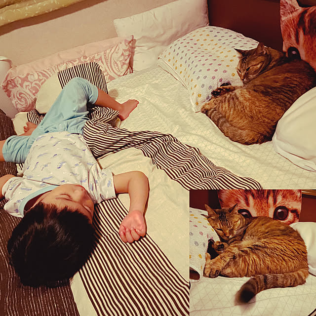 hansho.sさんの実例写真