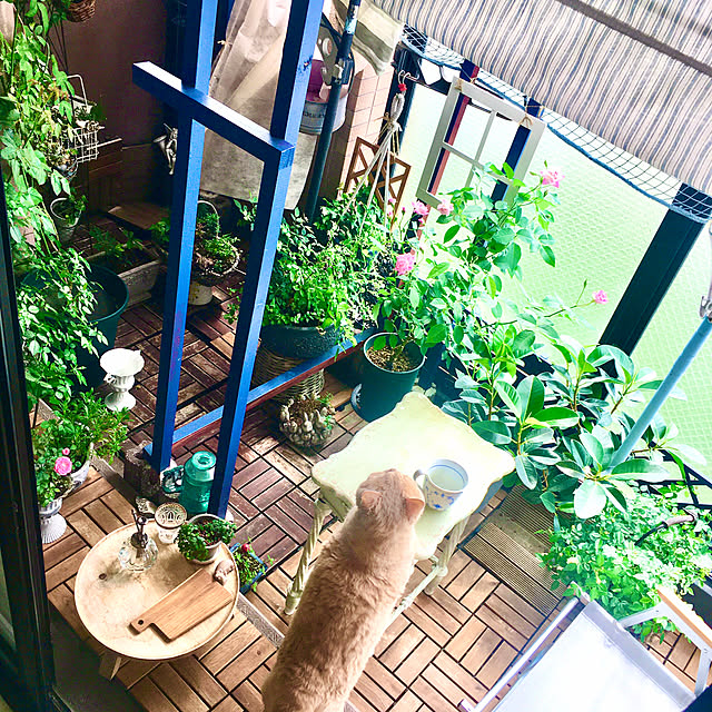 naokoさんの部屋
