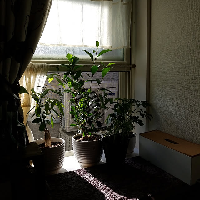 korokoroさんの実例写真