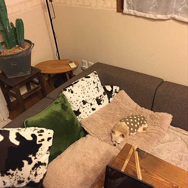 mihoup3さんの実例写真