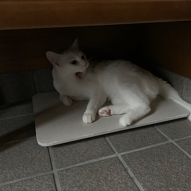 keiさんの実例写真