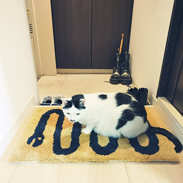 noguchiken0102さんの実例写真