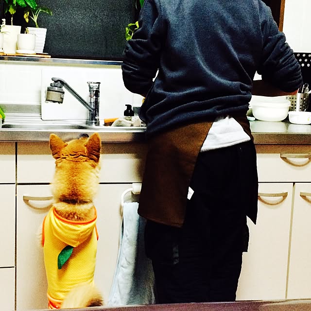 toi114さんの実例写真