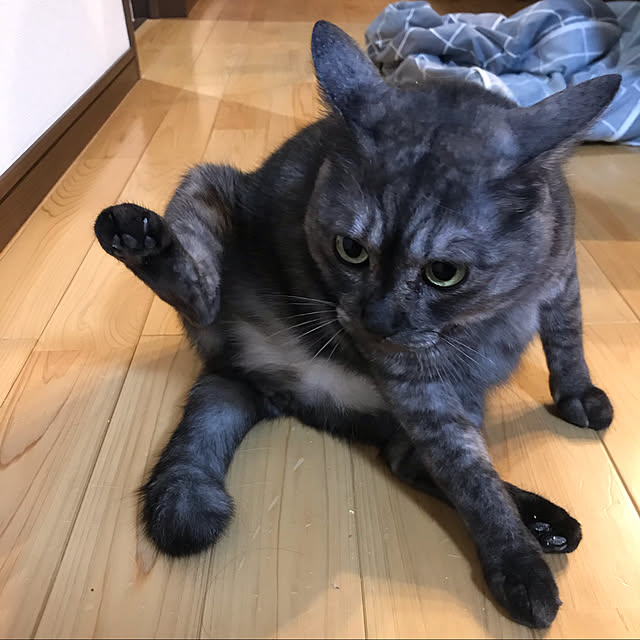 Yukaさんの実例写真