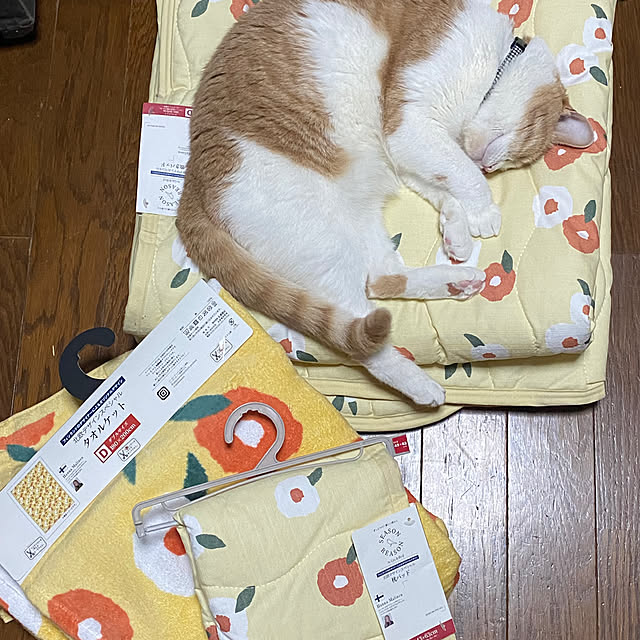 mintteaさんの部屋