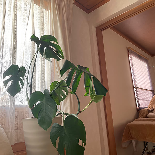 3ho5さんの部屋