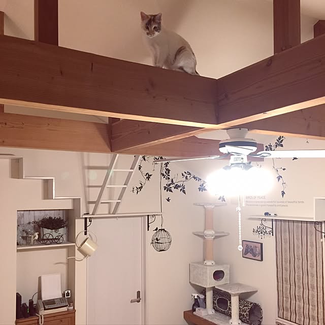 ivoryさんの実例写真