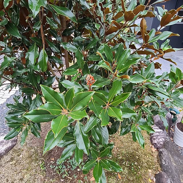 Rubiconさんの部屋