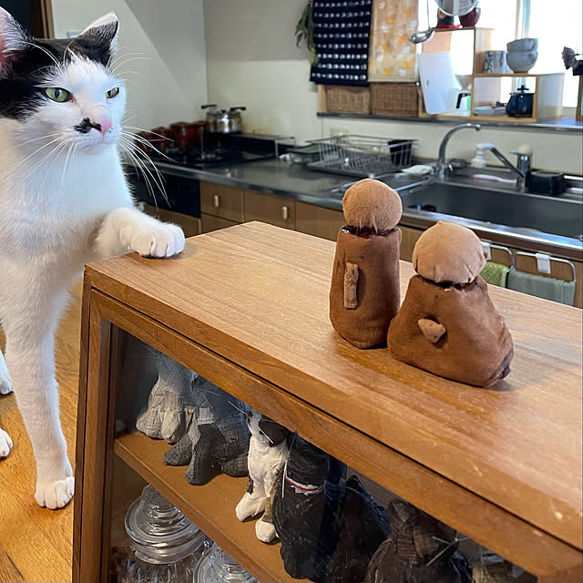 nobikoさんの実例写真