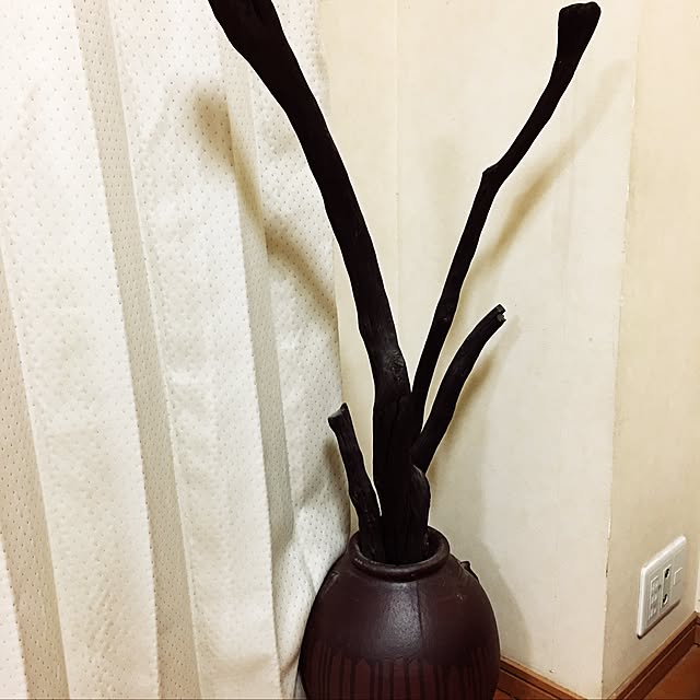 244tuyoさんの実例写真