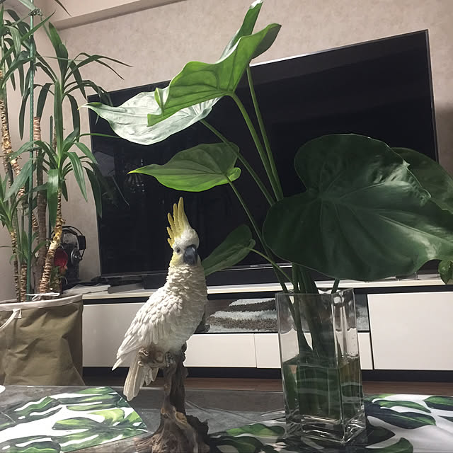 Aqettyさんの実例写真