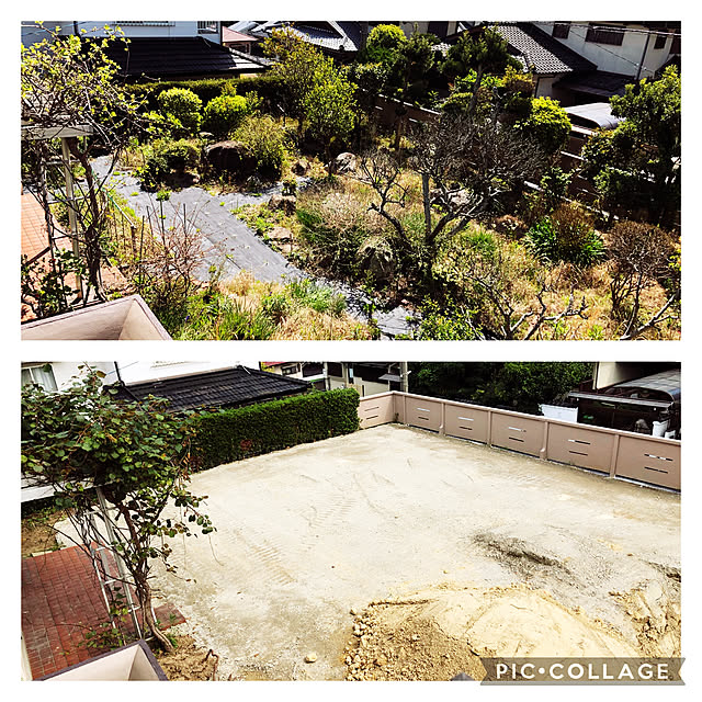 実例写真
