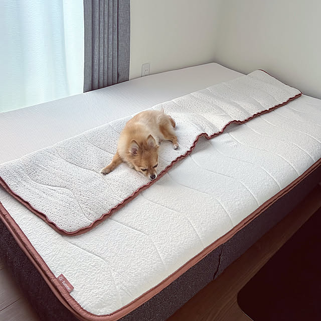 chimさんの実例写真
