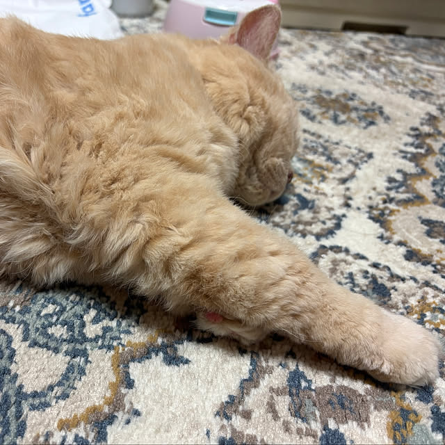 naokoさんの部屋