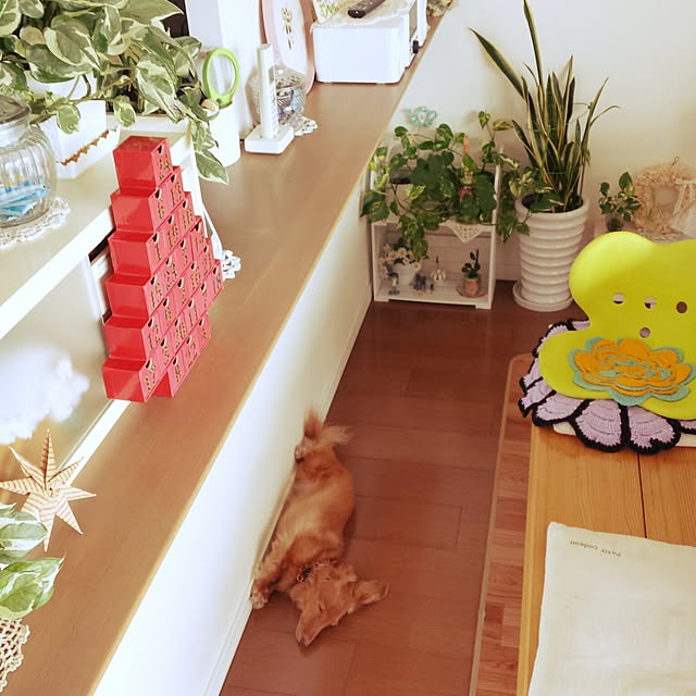 sumireさんの実例写真