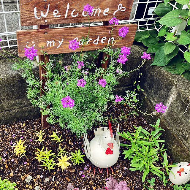 CoCo0617さんの実例写真