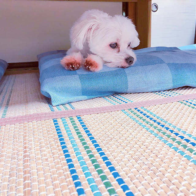 suzua419tavathaさんの実例写真
