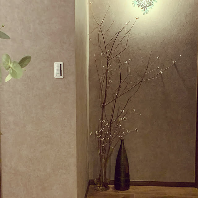 玄関/入り口のインテリア実例 - 2021-04-05 21:43:44