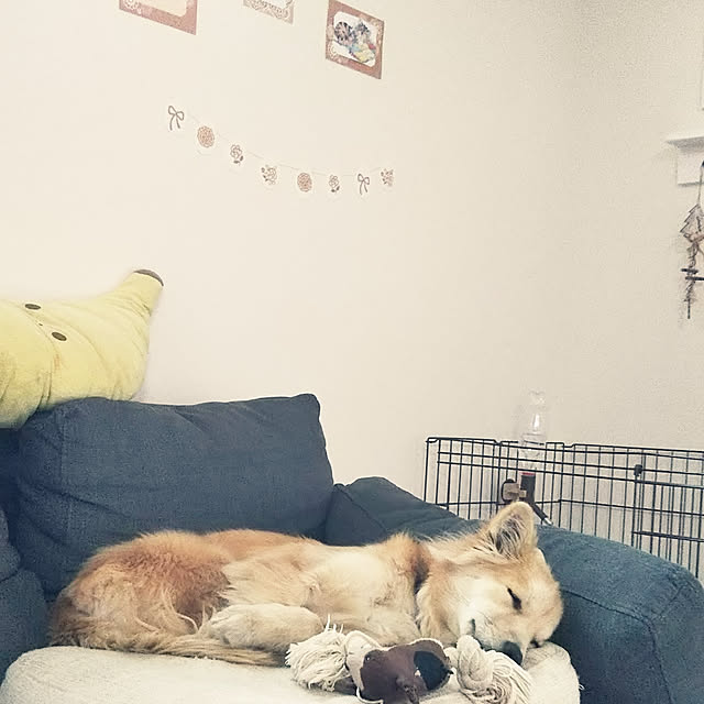 kaoriさんの実例写真