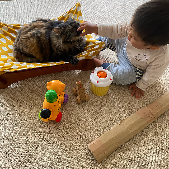 mikomaruさんの実例写真