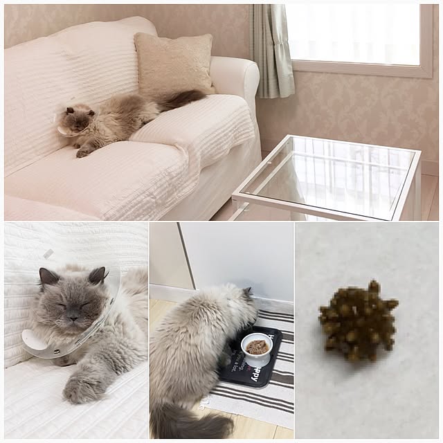 yuchiさんの実例写真