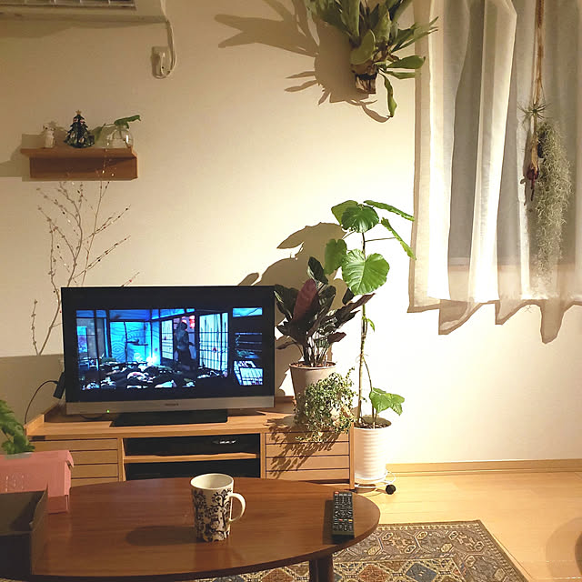 ytom999さんの実例写真