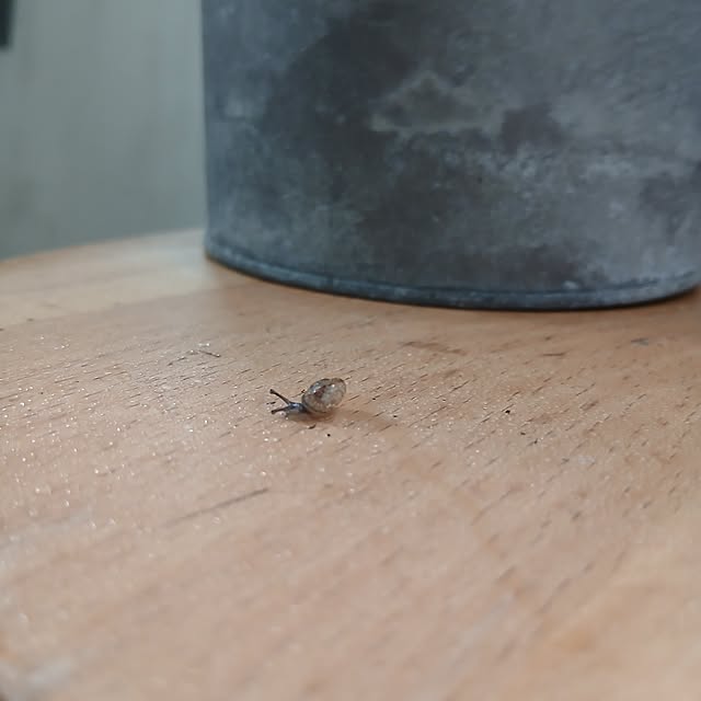 chidorinさんの部屋