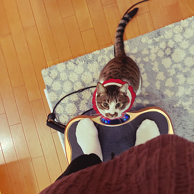 jijiさんの実例写真