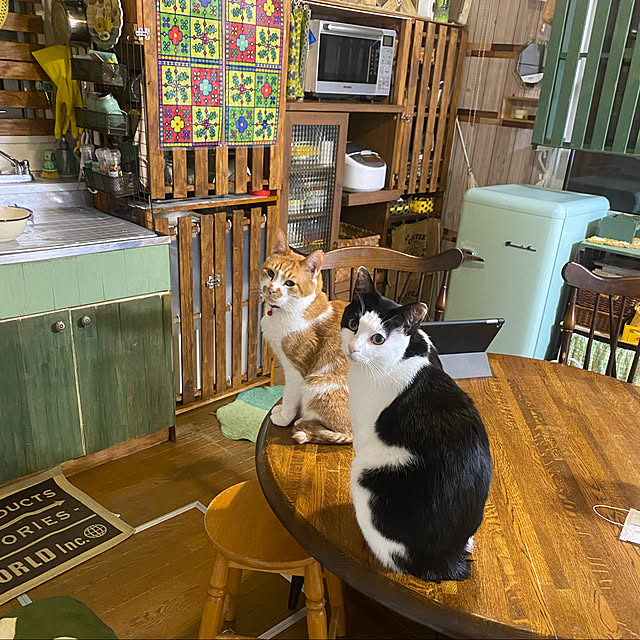 SHIHOさんの実例写真