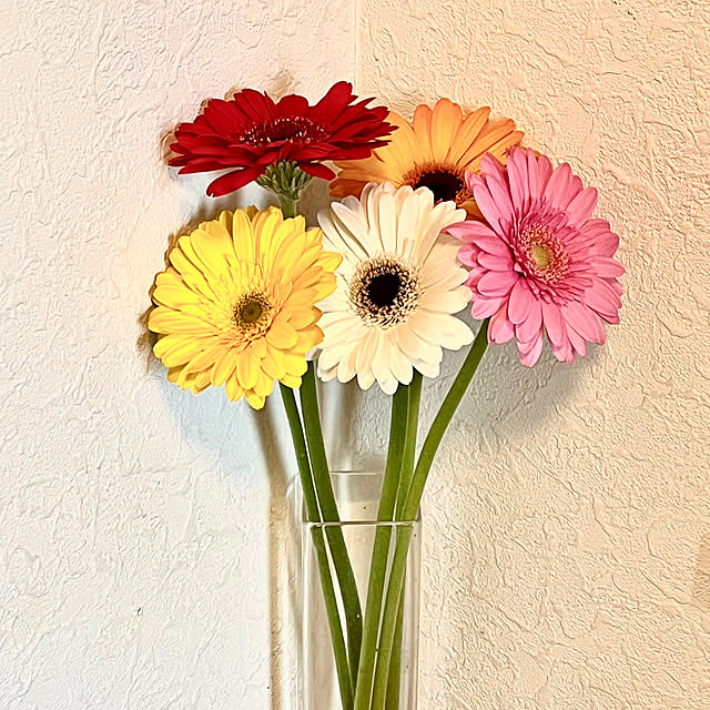 seiseiさんの実例写真