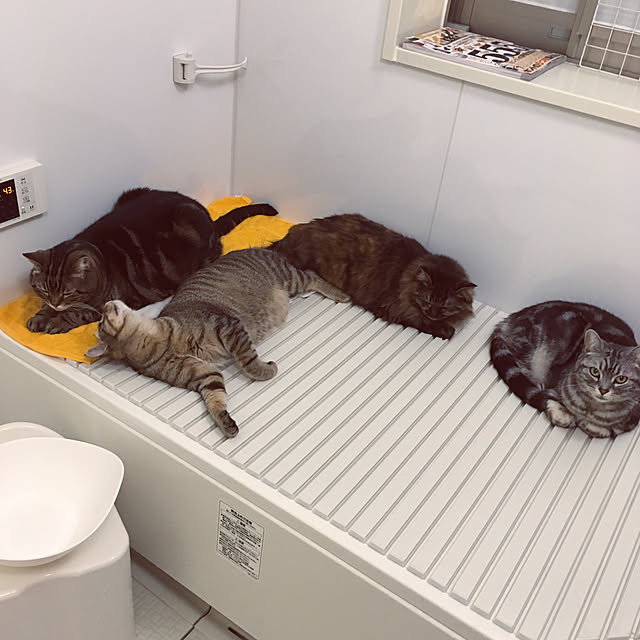 mikomaruさんの実例写真