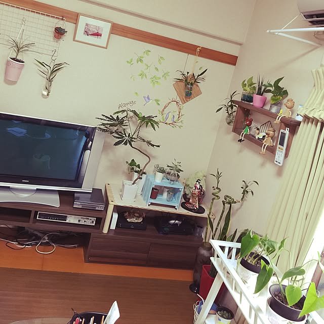 meiさんの実例写真