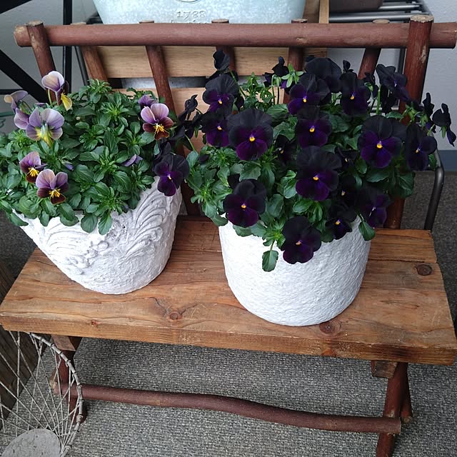 Petit_Pommierさんの部屋