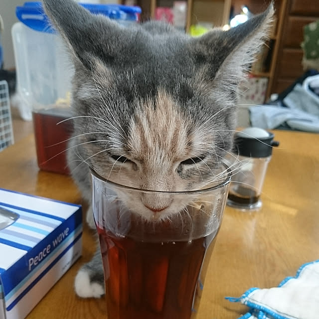 shinobuさんの実例写真