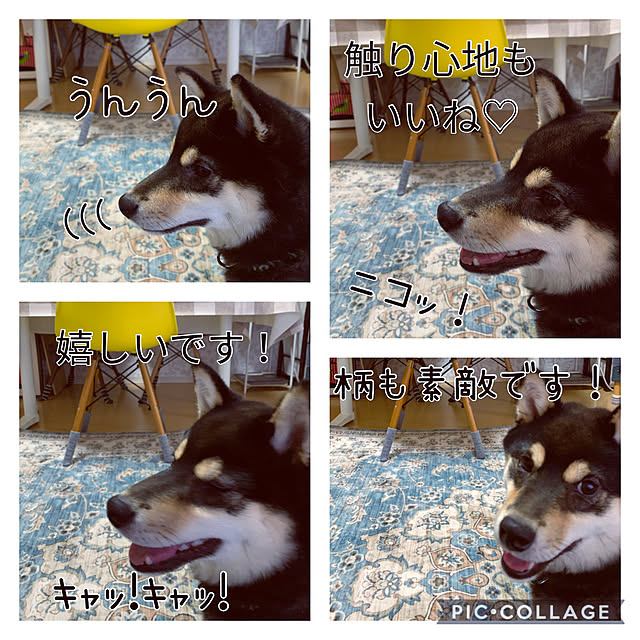 mo-nosukeさんの実例写真