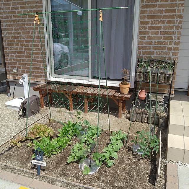 omiさんの実例写真