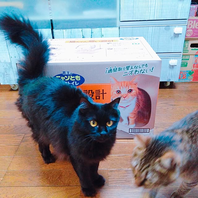 cocoroさんの実例写真