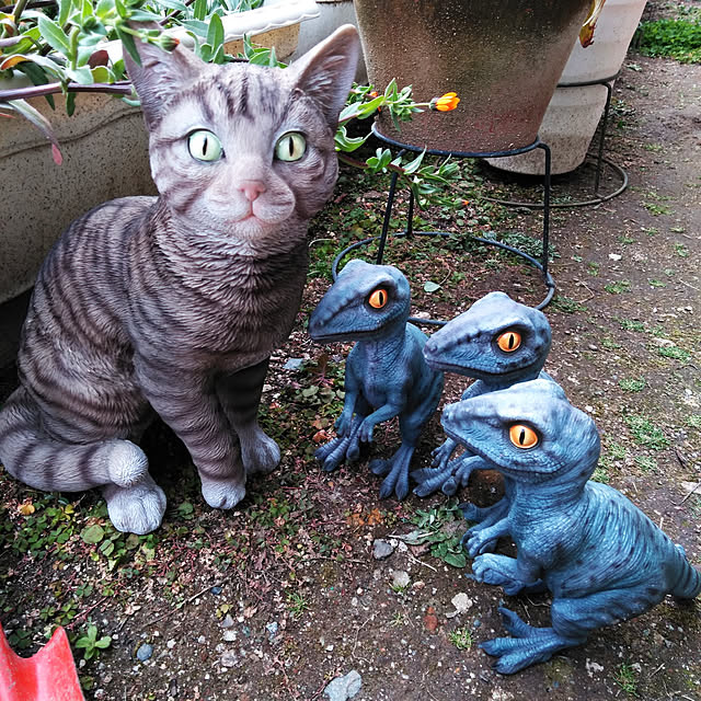 futukoさんの実例写真