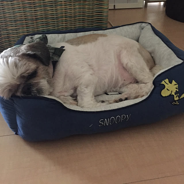 emiさんの実例写真