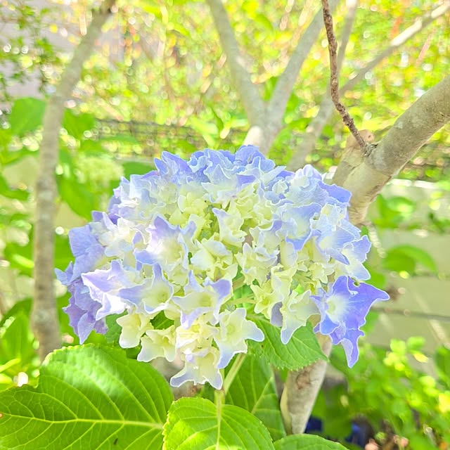 min_nimさんの実例写真